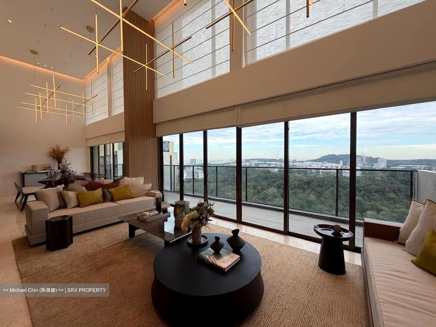 Pinetree Hill (D21), Condominium #614828111